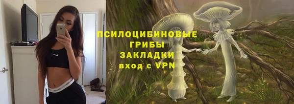 молекула духа Бородино