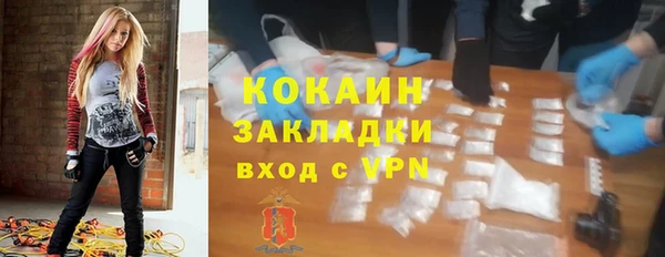 молекула духа Бородино