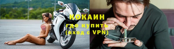 молекула духа Бородино