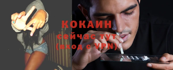 молекула духа Бородино