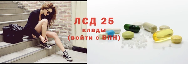 молекула духа Бородино