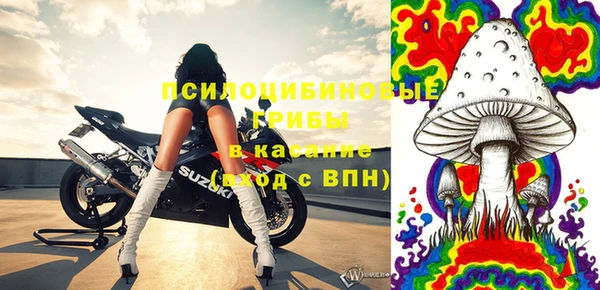 молекула духа Бородино