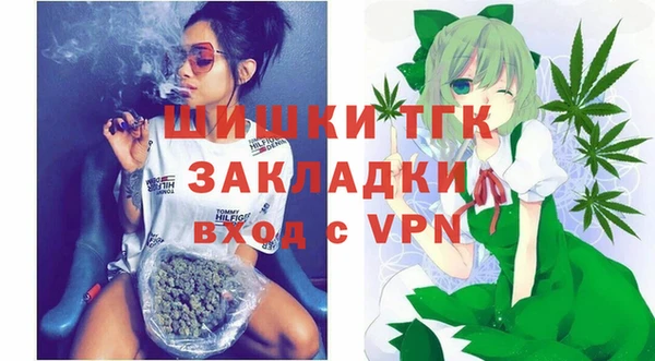 молекула духа Бородино