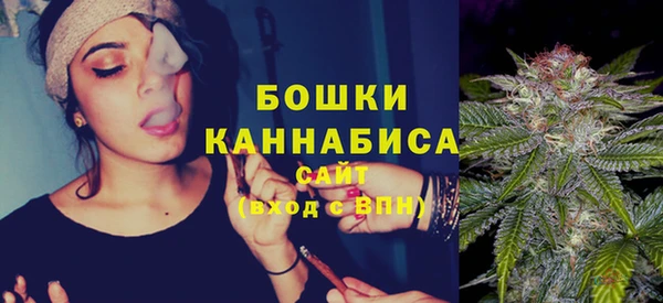 молекула духа Бородино