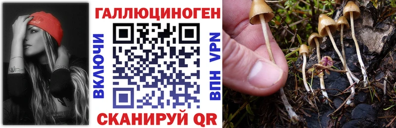 Псилоцибиновые грибы мухоморы  Клин 