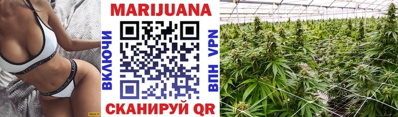 Канабис планчик  Клин 